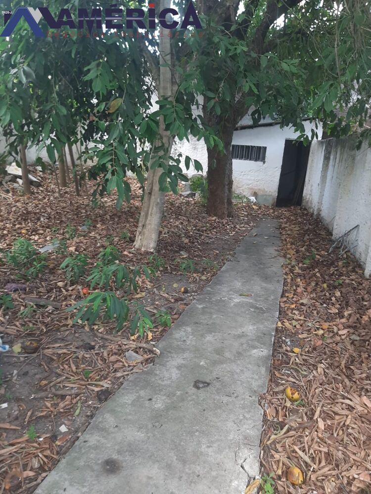 Casa, 3 quartos, 288 m² - Foto 1