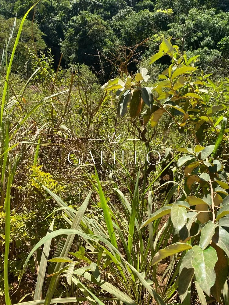 Terreno, 9000 m² - Foto 8