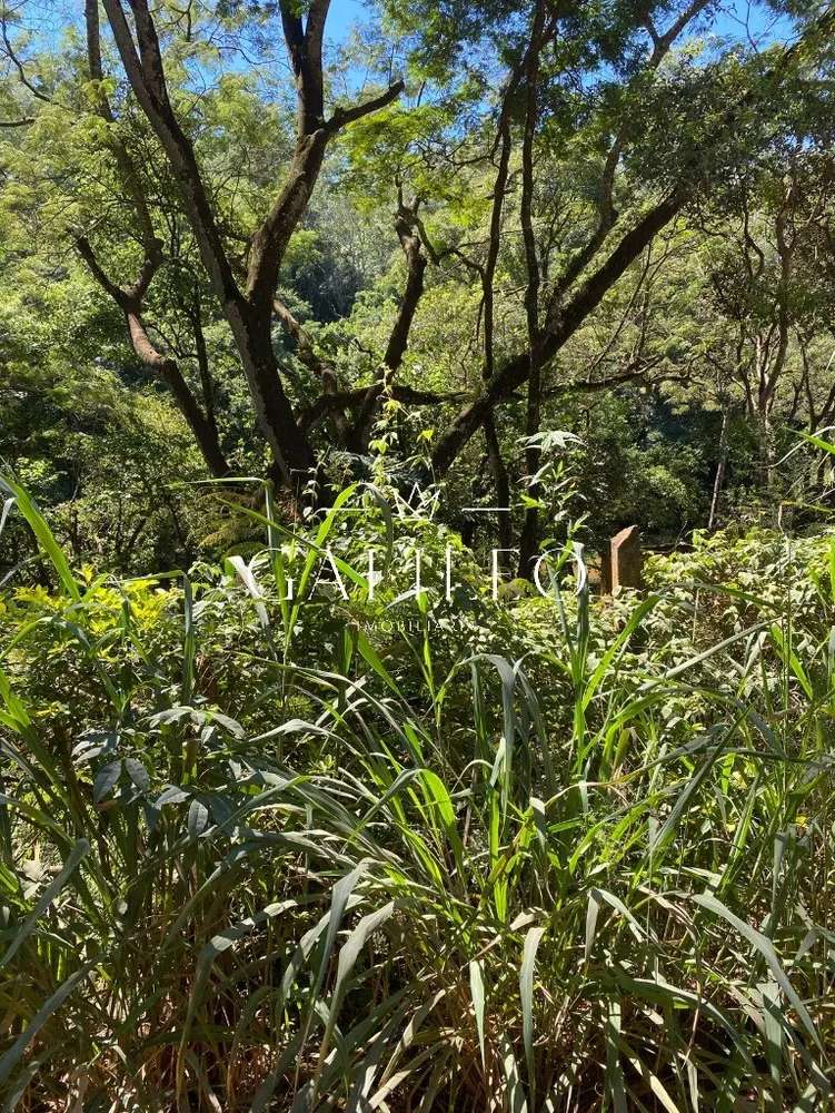 Terreno, 9000 m² - Foto 5