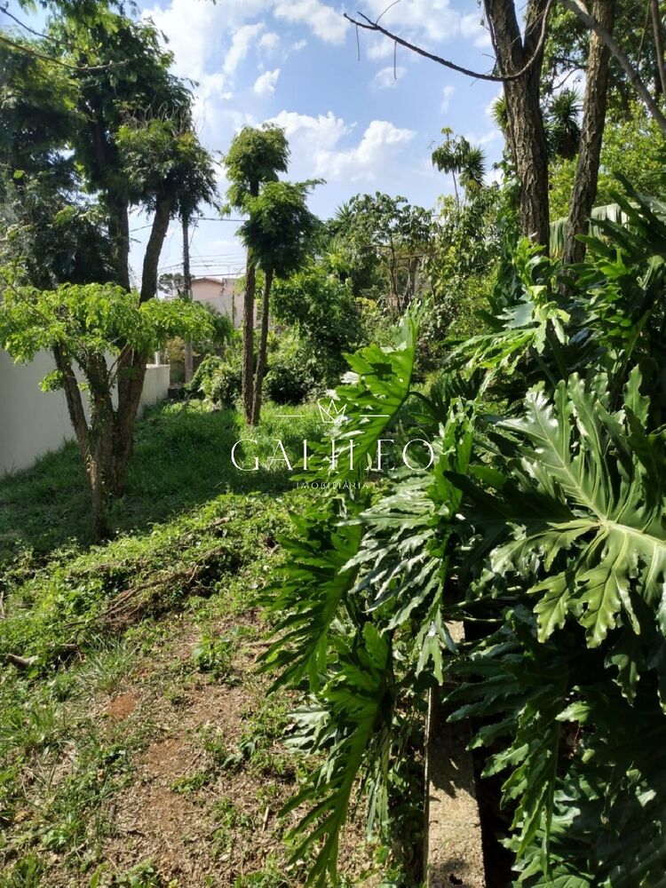 Terreno à venda, 307m² - Foto 4