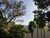Terreno, 307 m² - Foto 13
