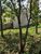 Terreno, 307 m² - Foto 8