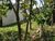 Terreno, 307 m² - Foto 6