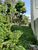 Terreno, 307 m² - Foto 2