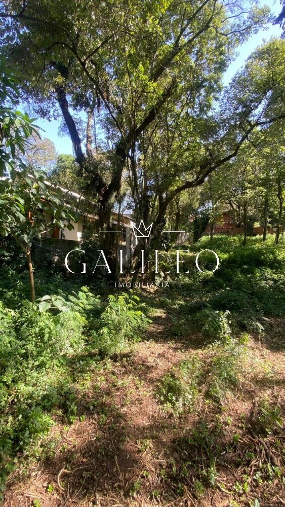 Terreno, 1000 m² - Foto 1