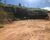 Loteamento e Condomínio, 1 hectares - Foto 2