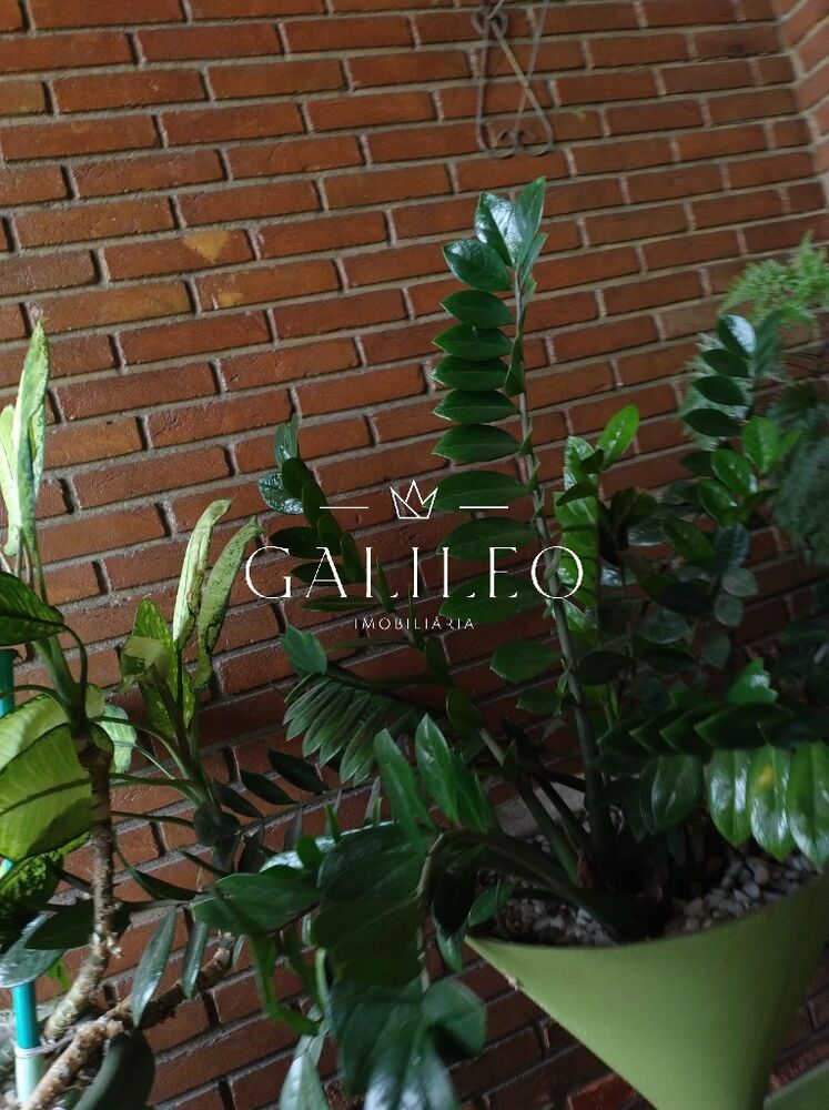 Casa, 3 quartos, 189 m² - Foto 1