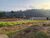 Terreno, 1050 m² - Foto 1