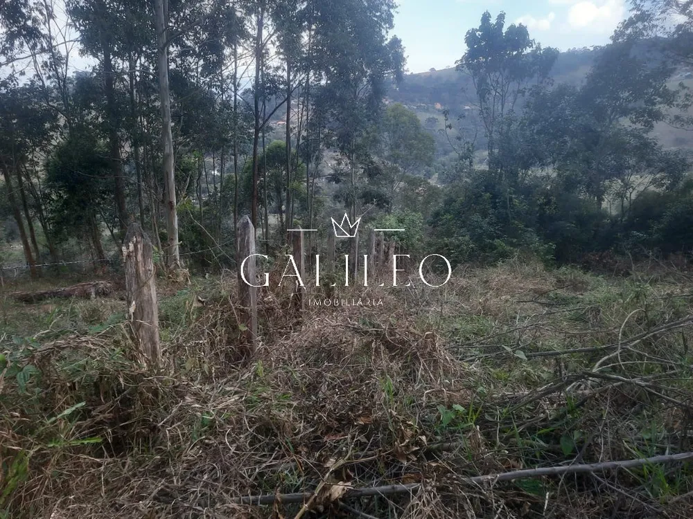 Terreno, 2 hectares - Foto 4