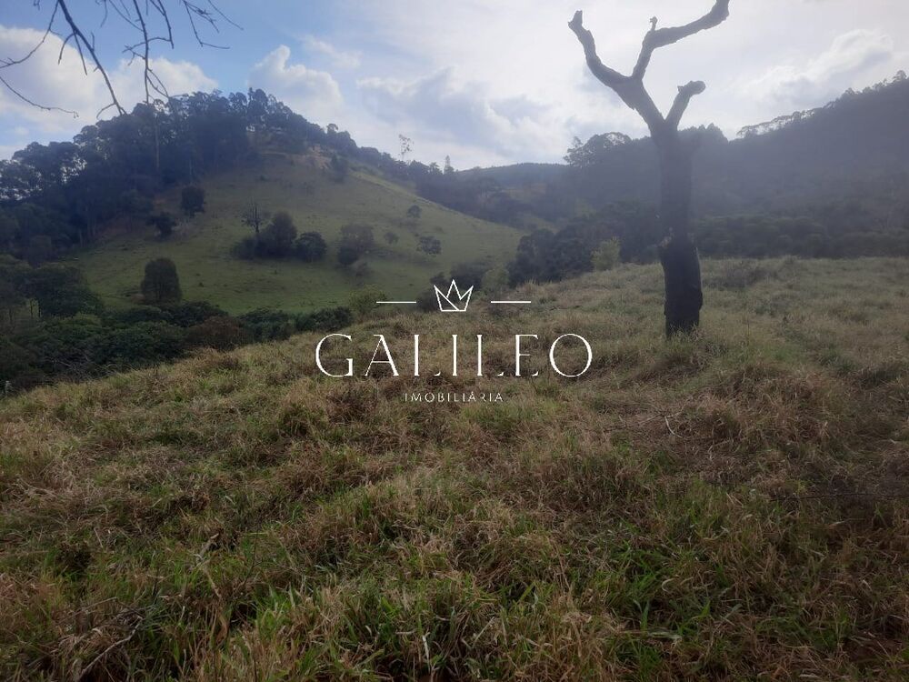 Terreno, 2 hectares - Foto 1