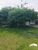 Terreno, 700 m² - Foto 3