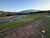 Terreno, 700 m² - Foto 4