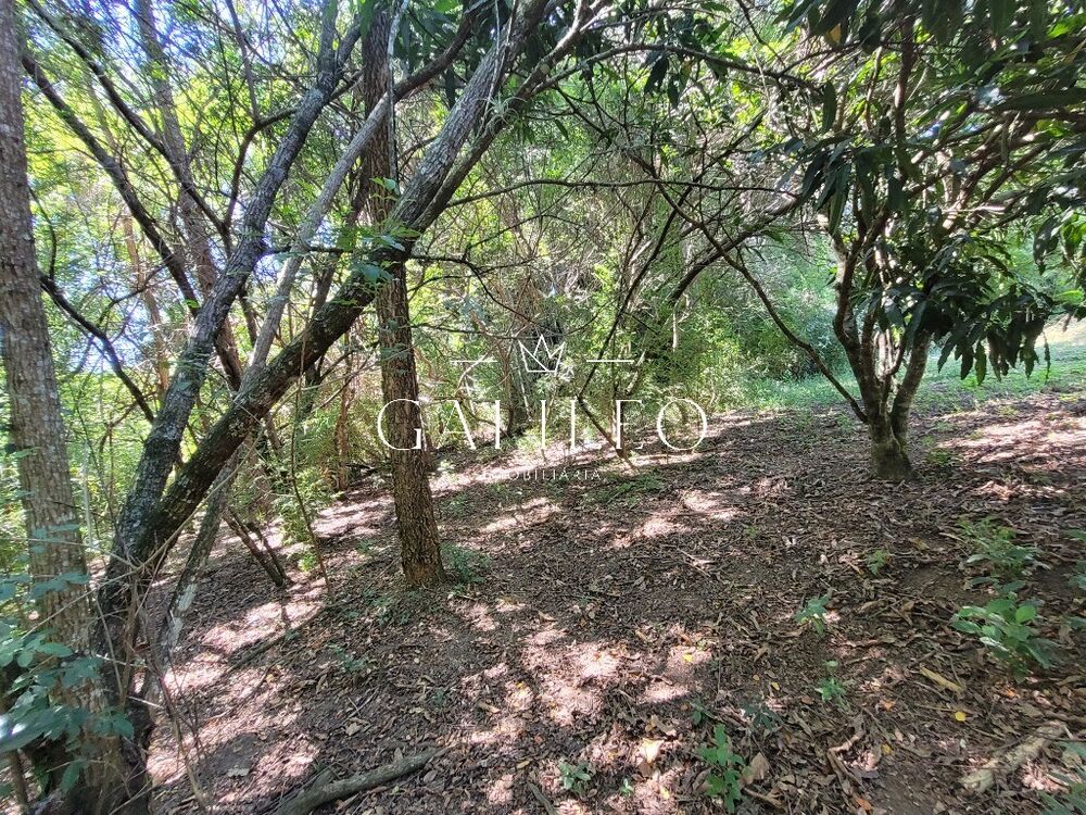 Chácara, 2 quartos, 4700 m² - Foto 3