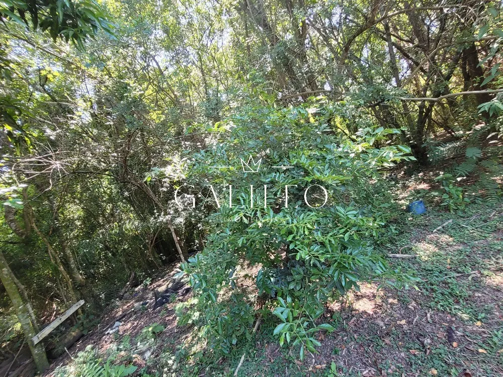 Chácara, 2 quartos, 4700 m² - Foto 7