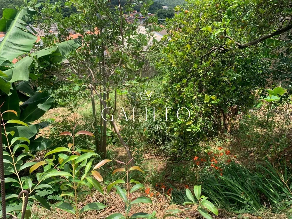 Terreno, 25 hectares - Foto 6