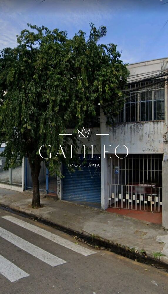 Casa, 8 quartos, 406 m² - Foto 4