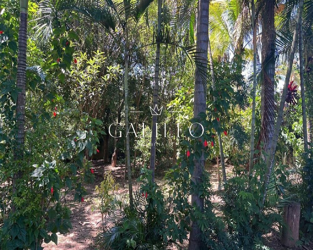 Chácara, 3 quartos, 375 m² - Foto 44