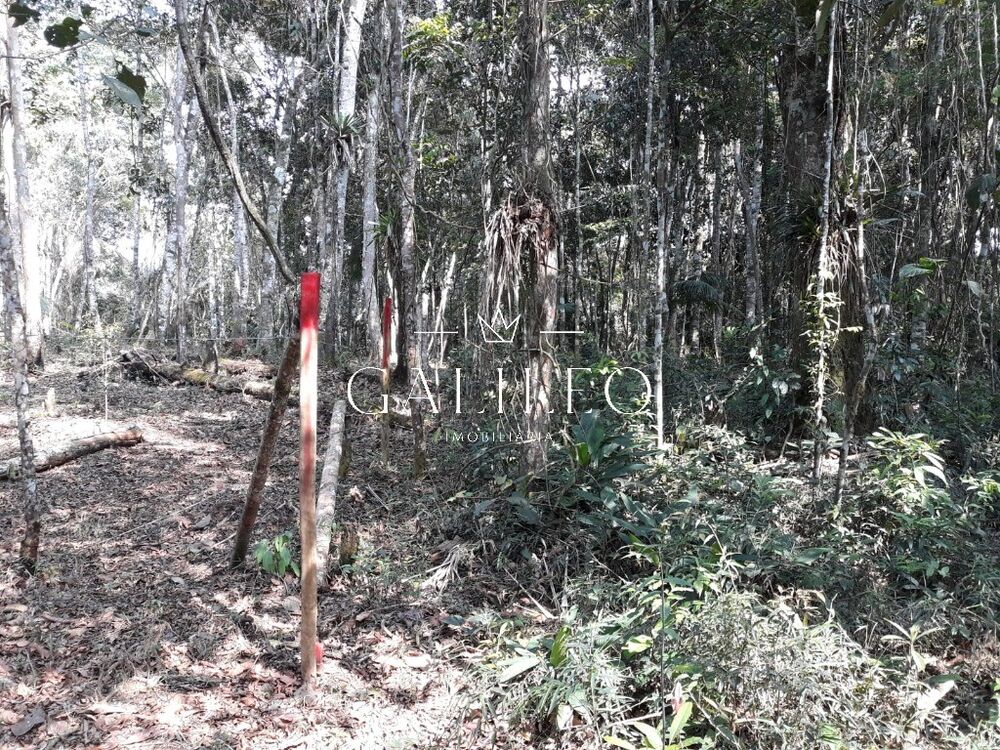 Terreno, 3 hectares - Foto 1