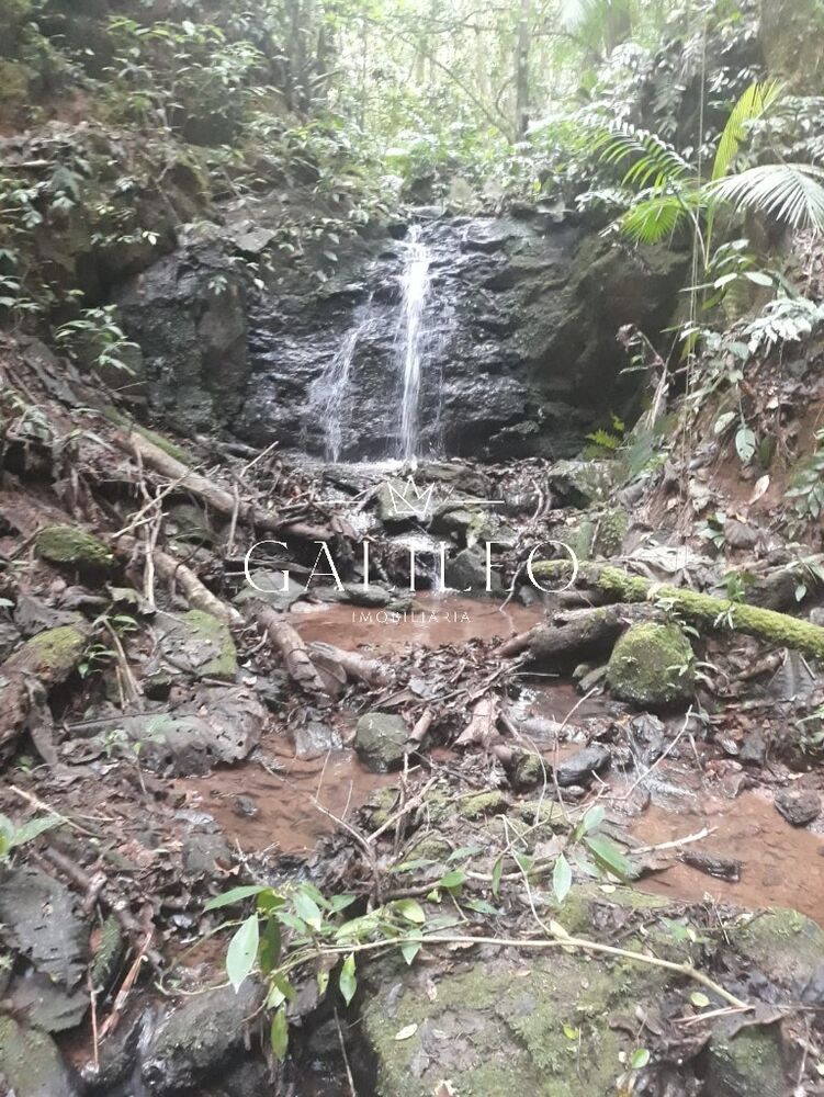 Terreno, 3 hectares - Foto 3