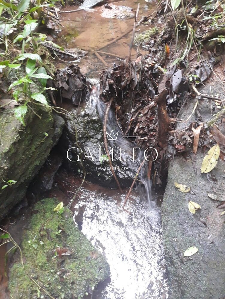 Terreno, 3 hectares - Foto 4