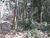 Terreno, 3 hectares - Foto 1