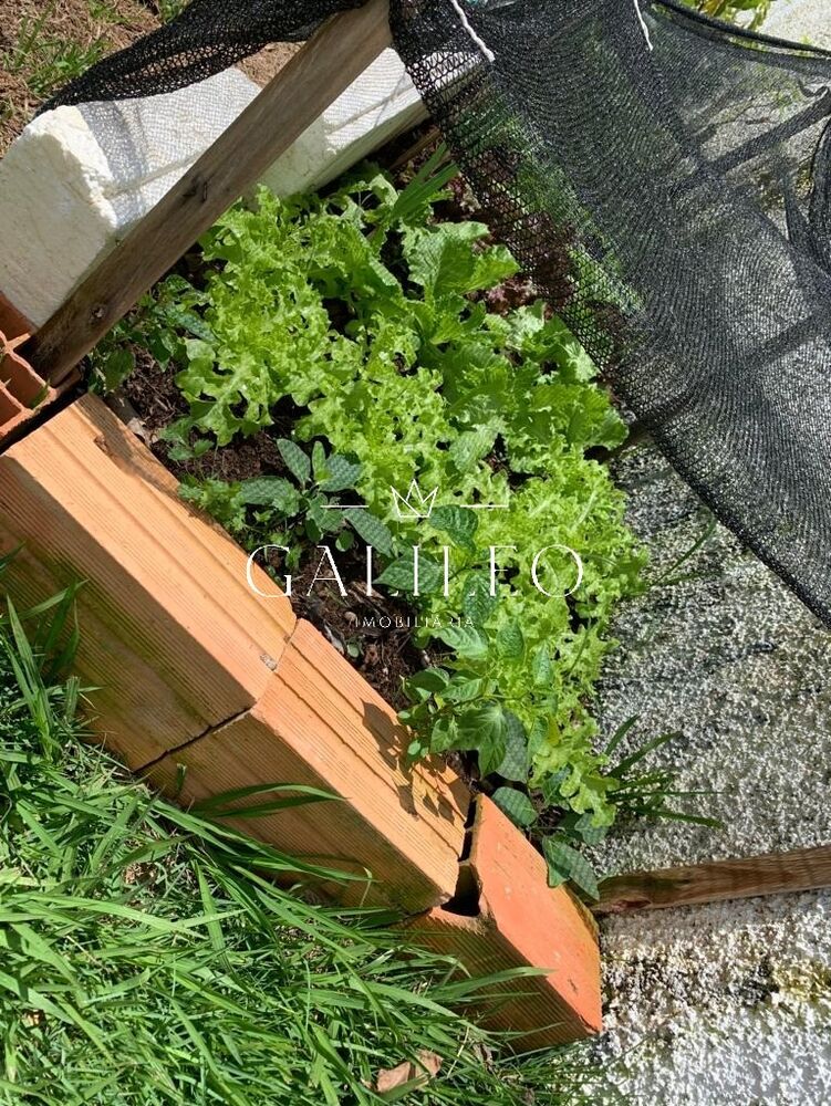 Chácara, 2 quartos - Foto 30