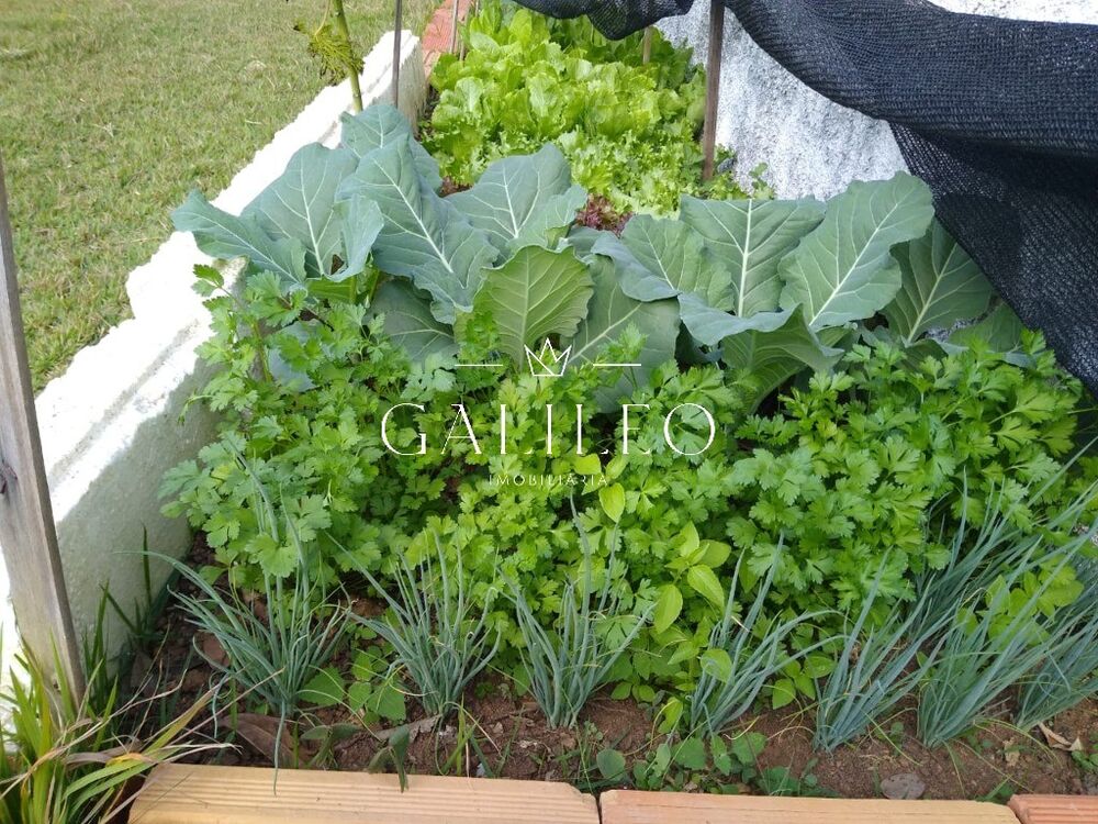 Chácara, 2 quartos - Foto 7