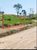 Terreno, 200 m² - Foto 2