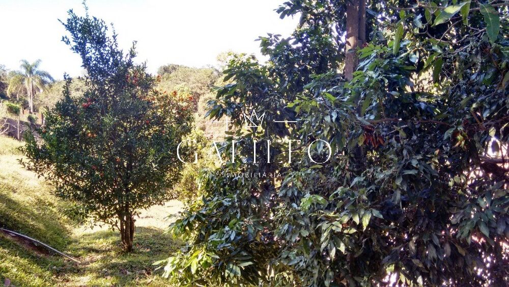 Chácara, 3 quartos - Foto 3