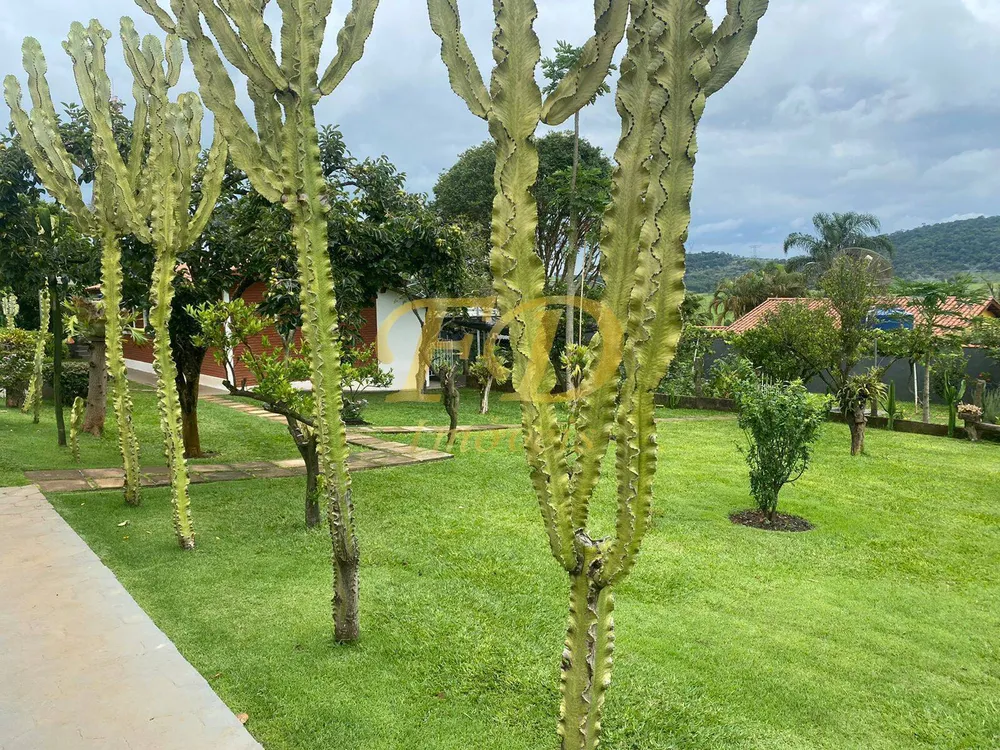 Casa, 4 quartos, 650 m² - Foto 8