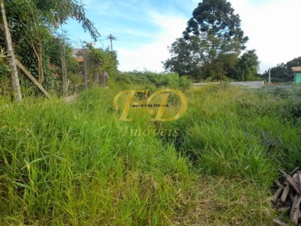 Terreno, 290 m² - Foto 3