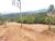 Terreno, 1000 m² - Foto 3