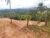 Terreno, 1000 m² - Foto 10