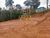 Terreno, 1000 m² - Foto 4