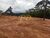 Terreno, 1000 m² - Foto 9