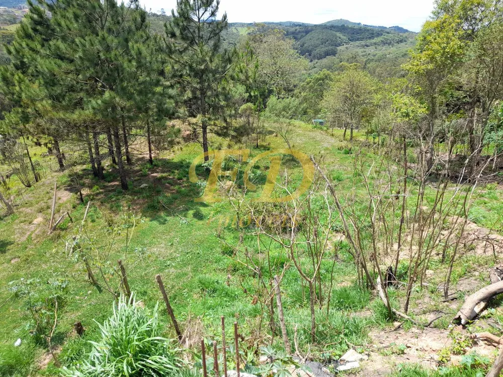 Depósito-Galpão, 200 m² - Foto 4