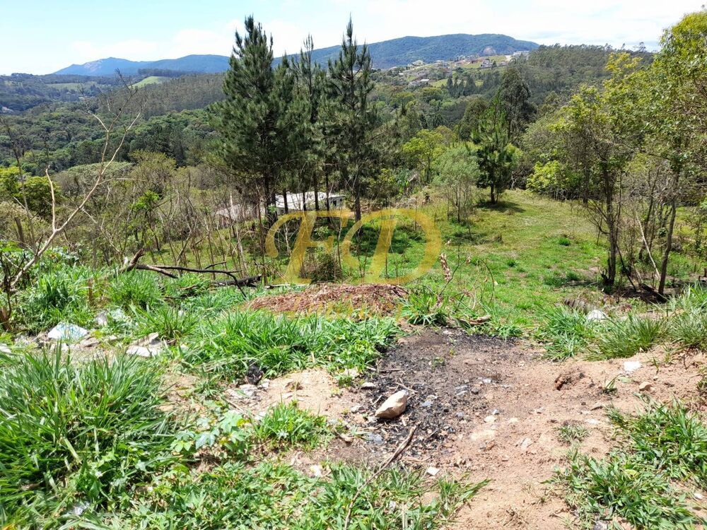 Depósito-Galpão, 200 m² - Foto 2