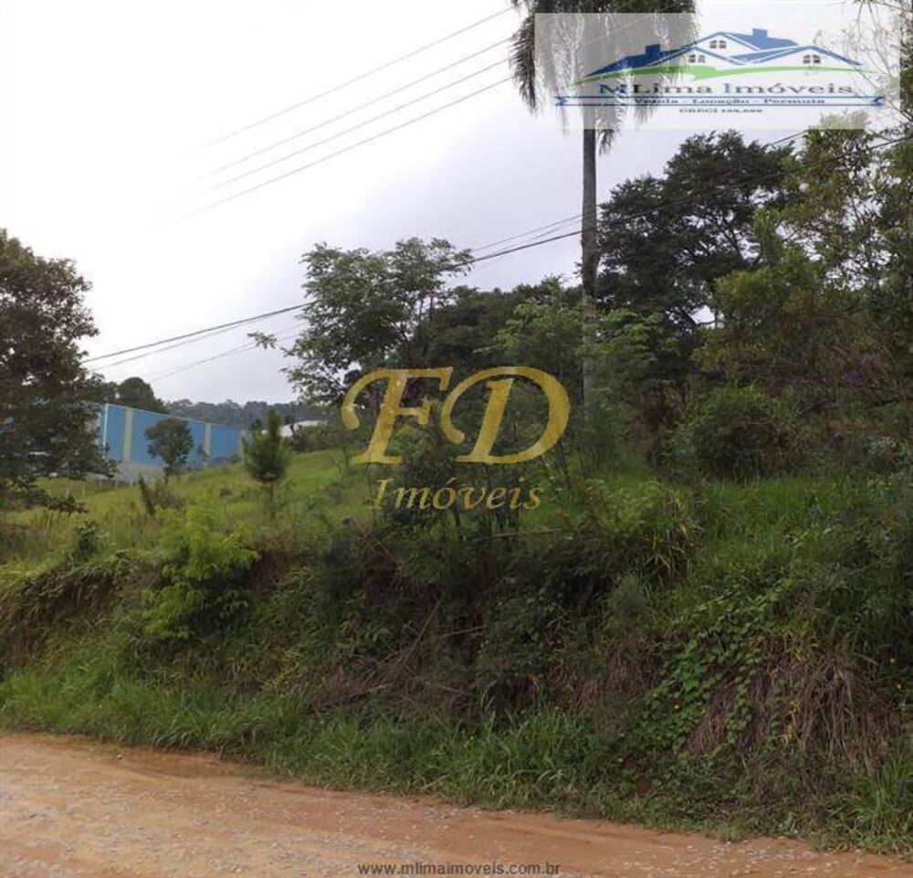 Terreno, 2 hectares - Foto 3