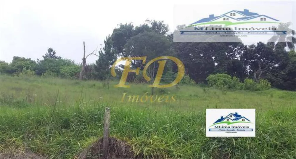 Terreno, 2 hectares - Foto 6