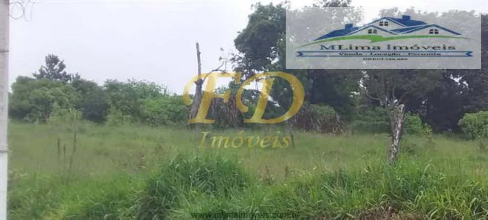 Terreno, 2 hectares - Foto 7