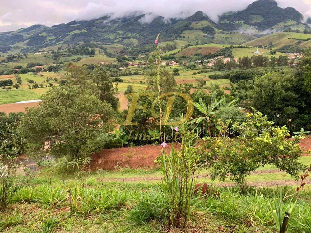 Fazenda à venda com 2 quartos, 260m² - Foto 4