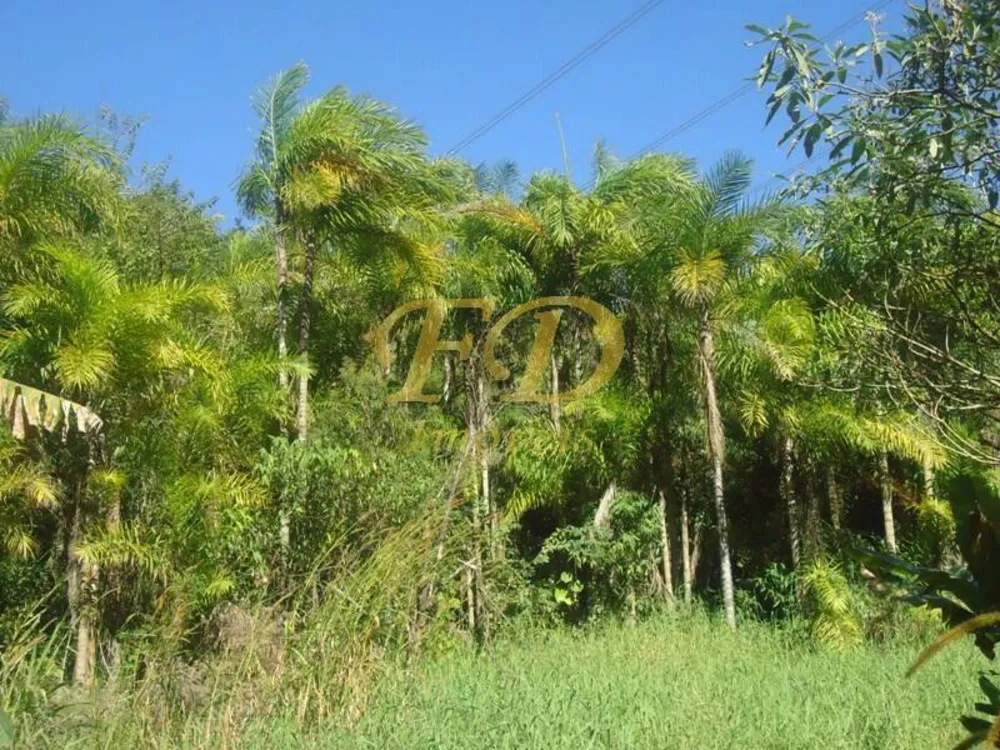 Sítio, 4 quartos, 16 hectares - Foto 35