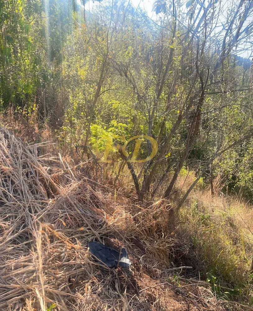 Terreno - Foto 5