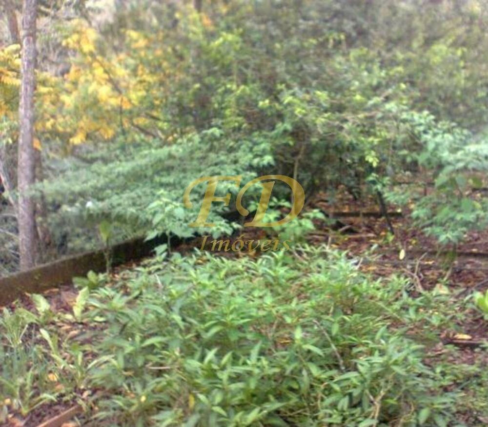 Chácara, 3 quartos, 1360 m² - Foto 4