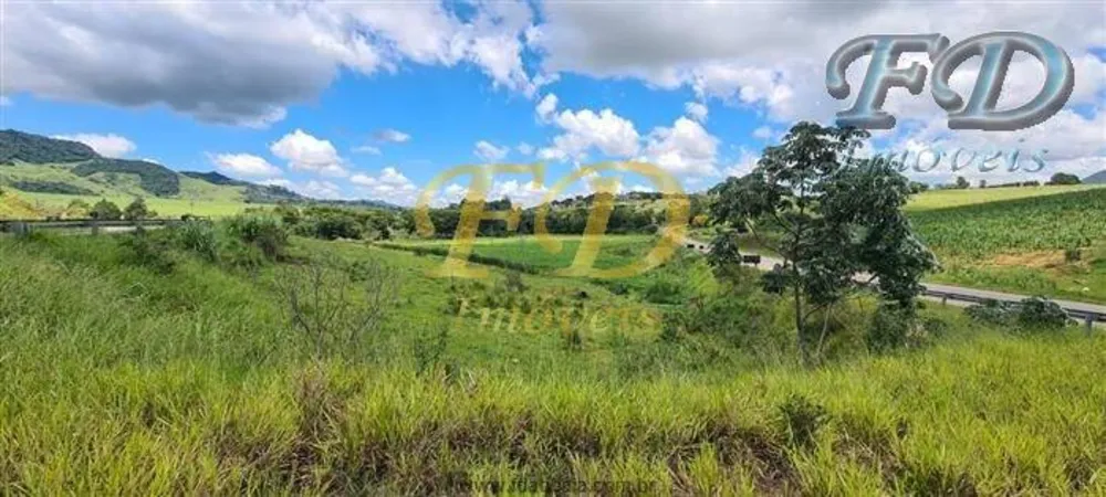 Terreno, 6 hectares - Foto 1