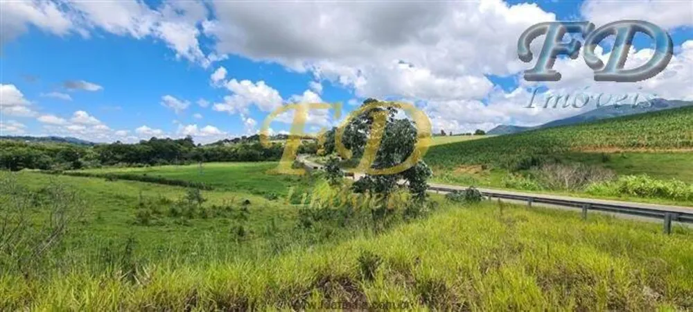 Terreno, 6 hectares - Foto 4