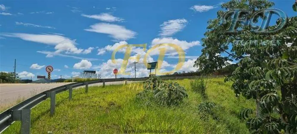 Terreno, 6 hectares - Foto 3