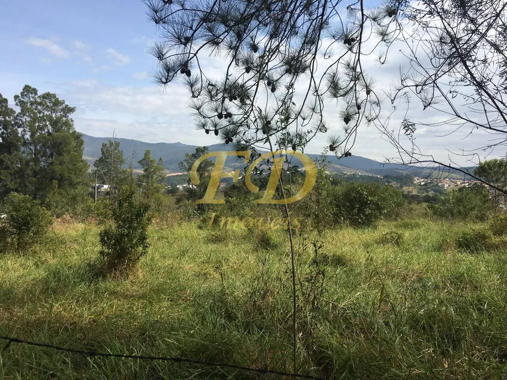 Terreno, 3756 m² - Foto 1