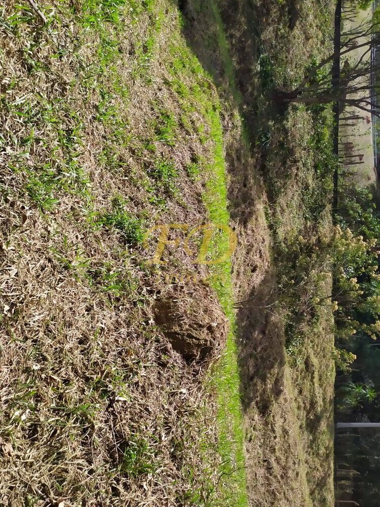 Terreno, 5800 m² - Foto 4