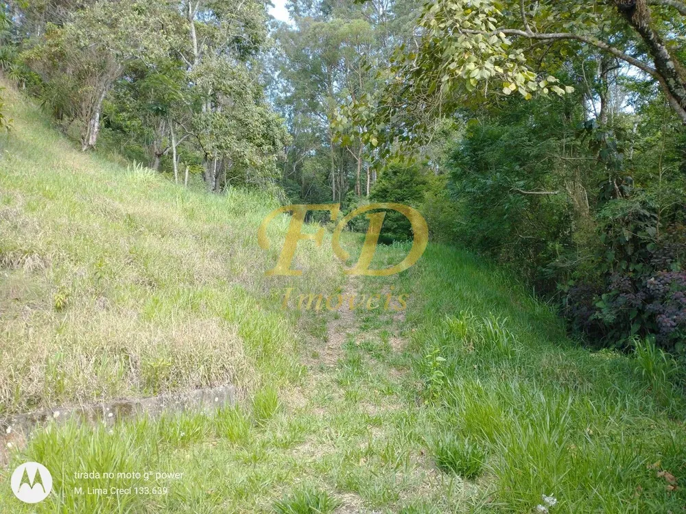 Terreno, 5000 m² - Foto 3